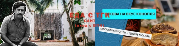индика Балахна
