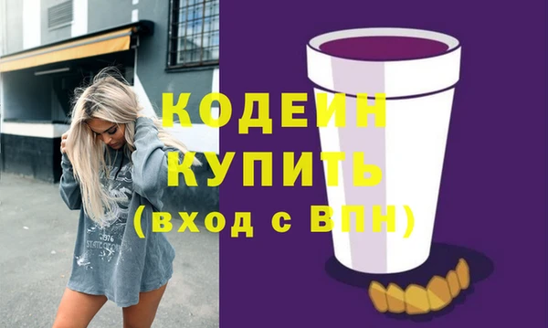 индика Балахна
